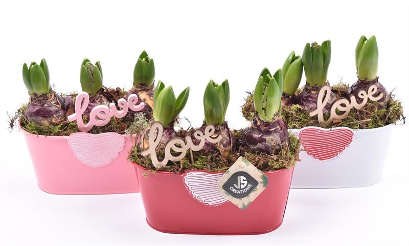 Zink met hart mix 19x10cm, D 19