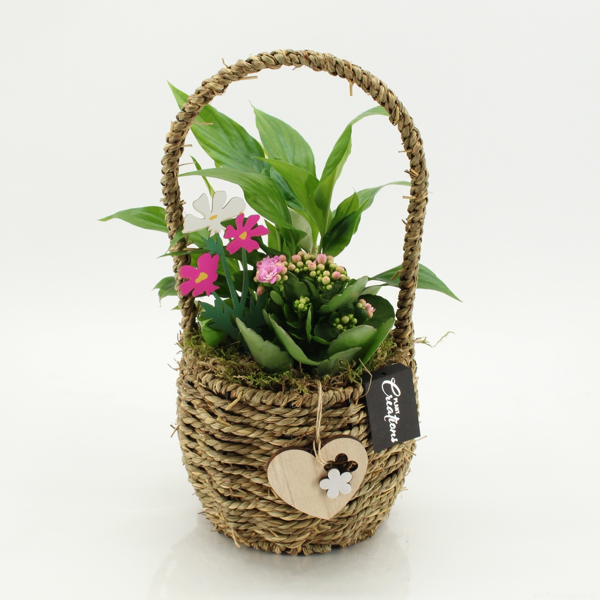 ENMD-2622 English Mother's day, D 16