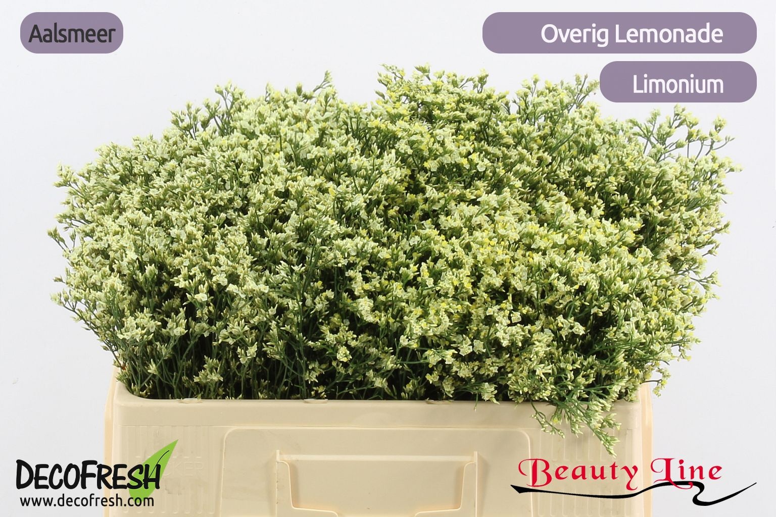 Лимониум Сенси Лемонад 50, шт.