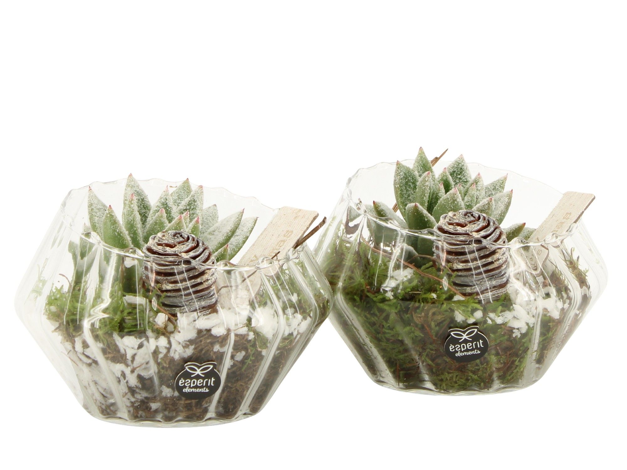 61961: X-mas arrangement, D 15