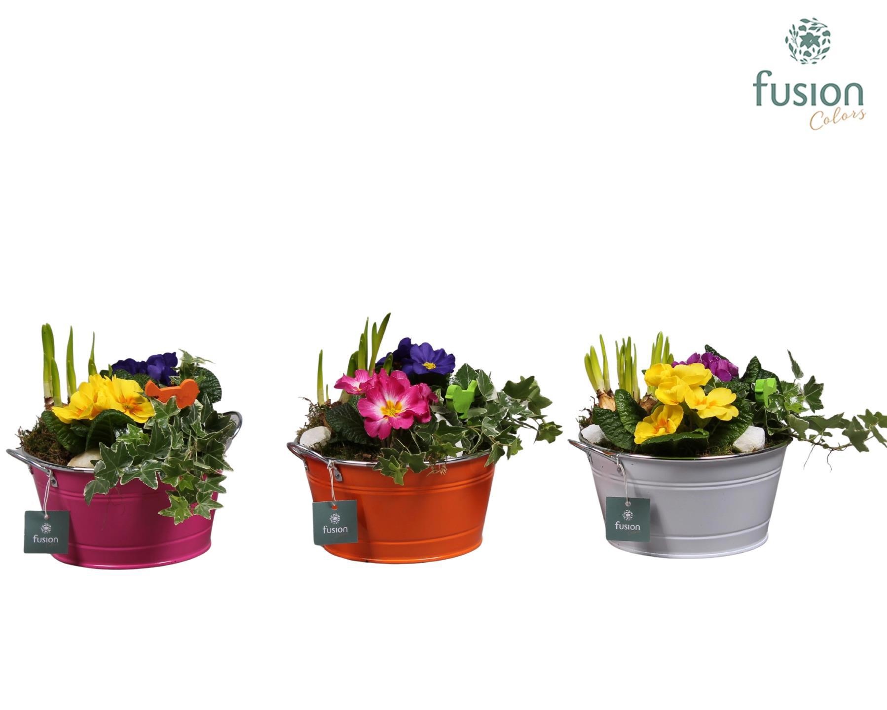 Schaal zink rond Voorjaar met Arrangement verschillende kleuren, D 20