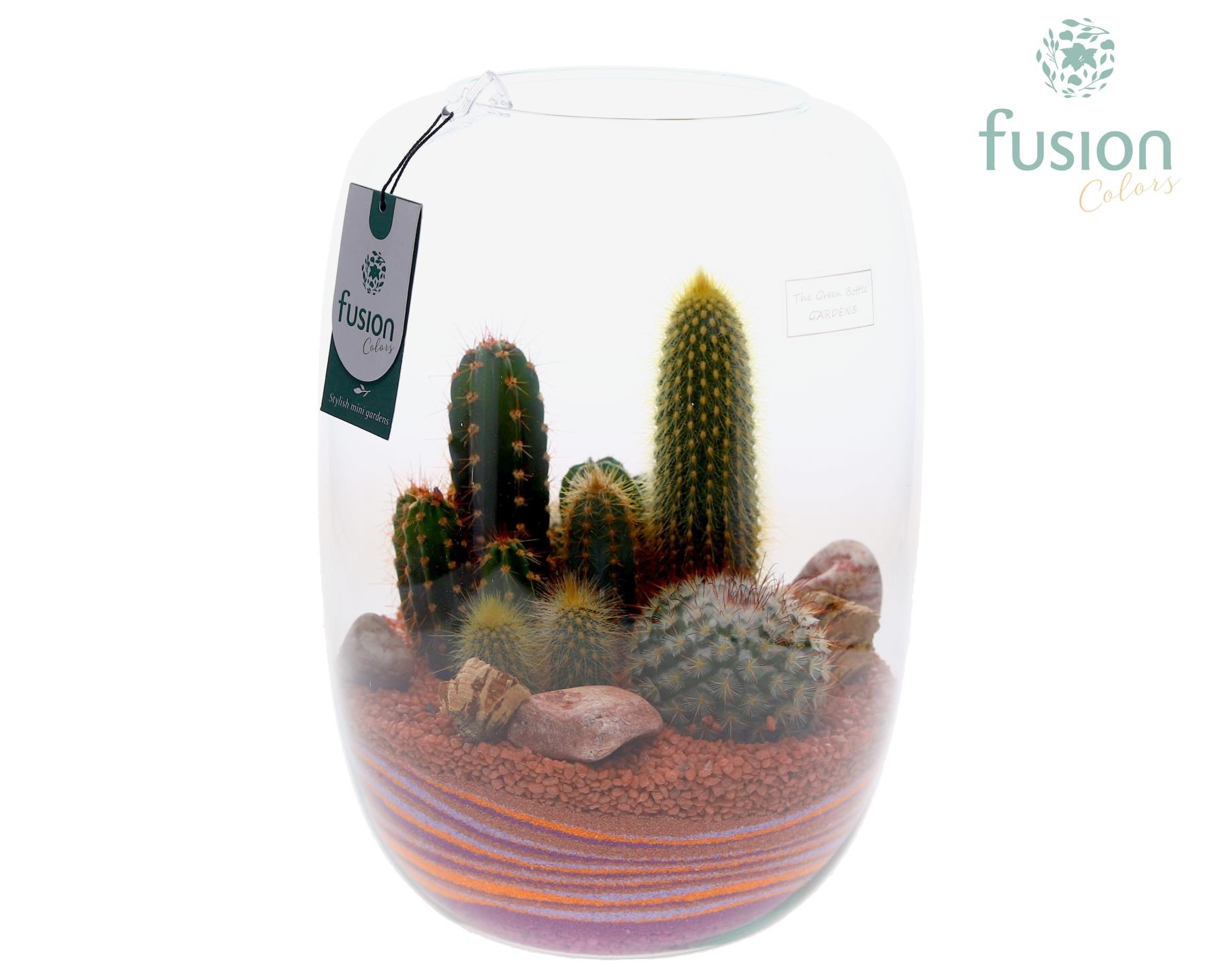 Green Bottle Isabella XLarge met zand arrangement, D 23