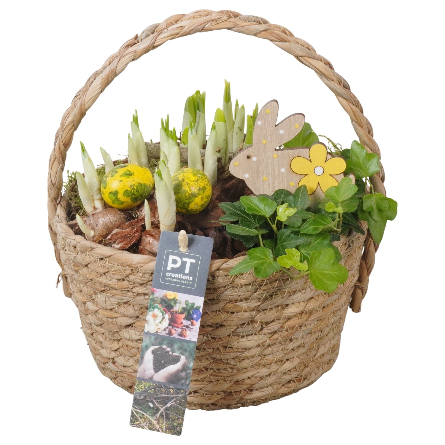 PTBMP5680 Arrangement Easter Bulbs Mix in rieten mand, D 18