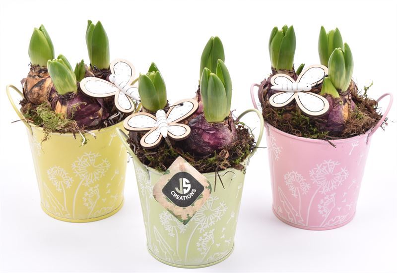 Zink emmer decor 12cm, D 12