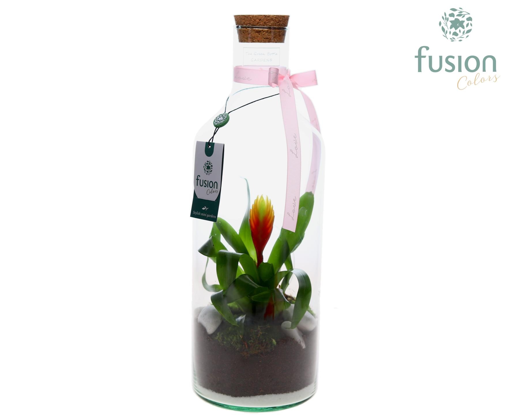 Green Bottle Fles Medium Love met Bromelia, D 15