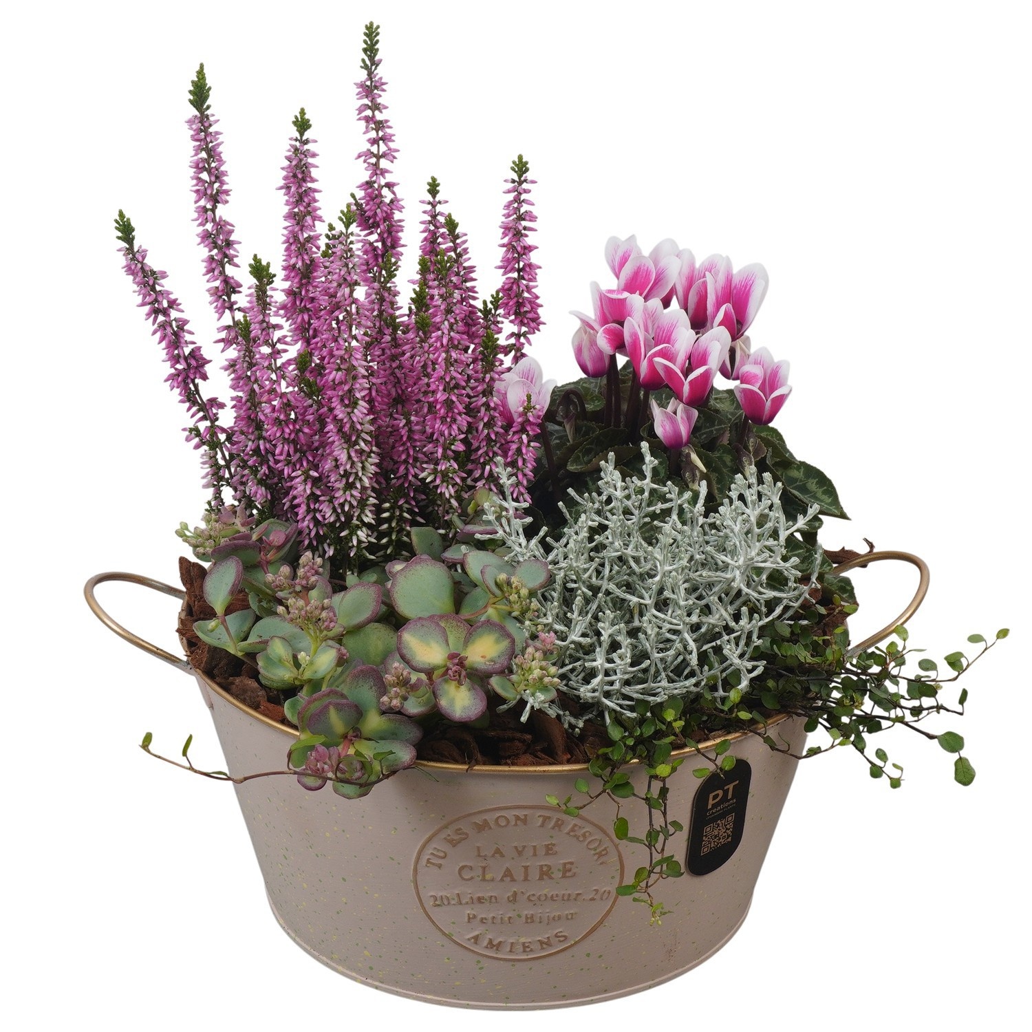 PTHO7622 Arrangement Autumn Outdoor in metalen pot, D 23