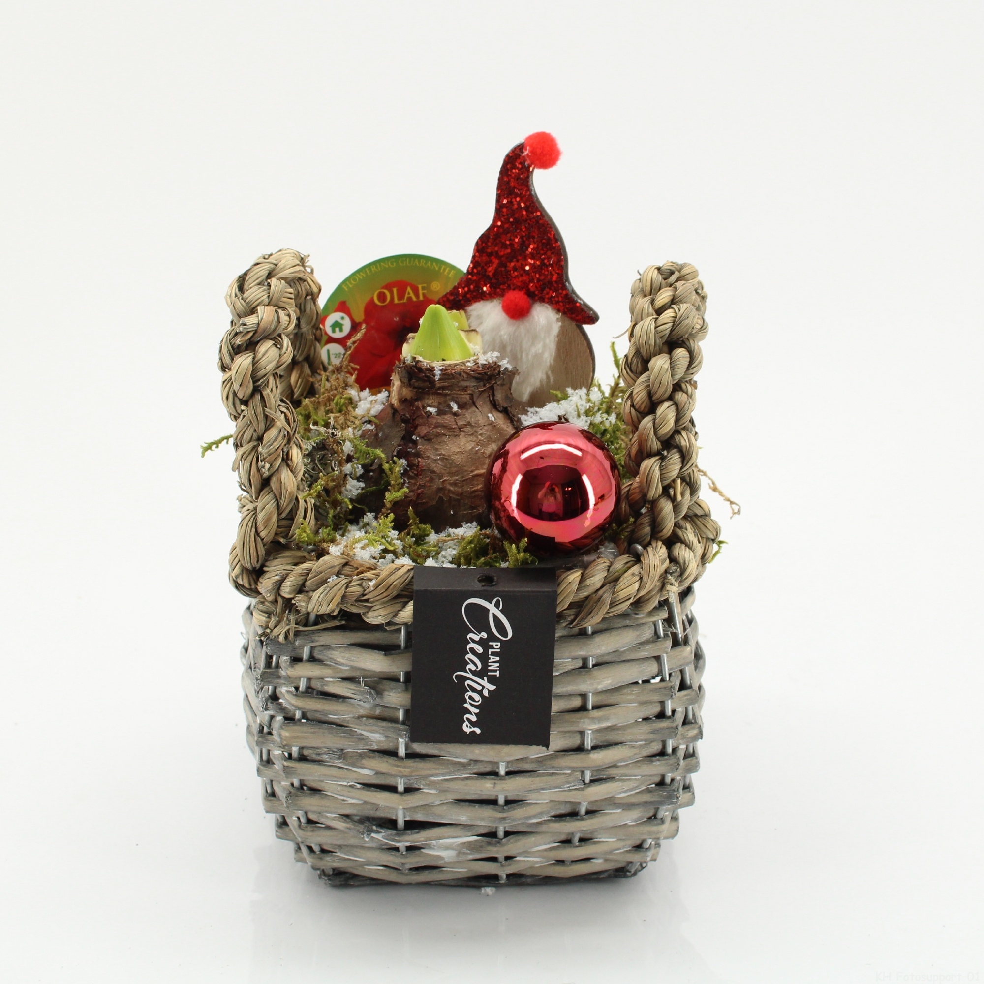 HICR-2530R Kerst Amaryllis, D 14 cm