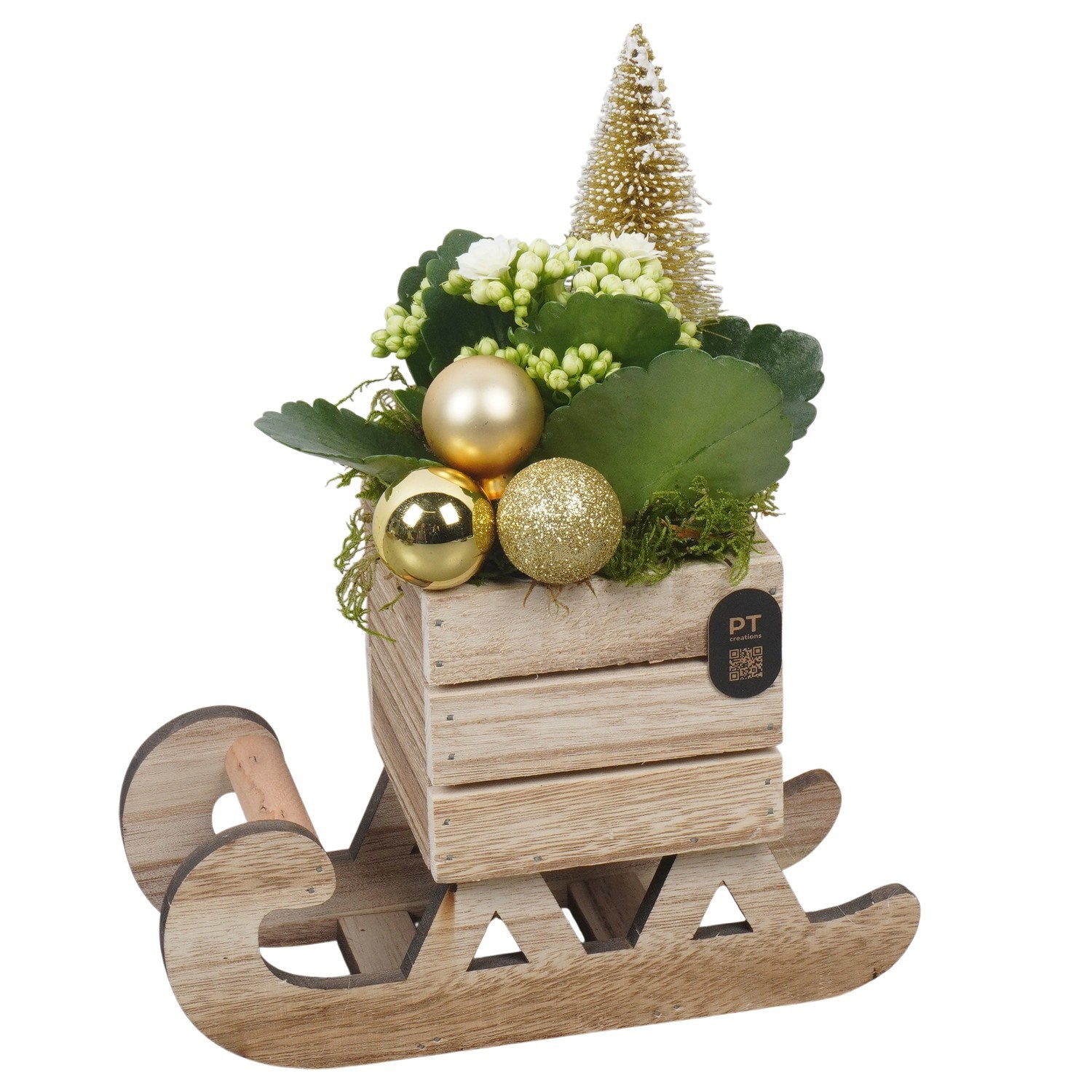 PTCHG4698 Arrangement Christmas Gold in houten slee, D 20