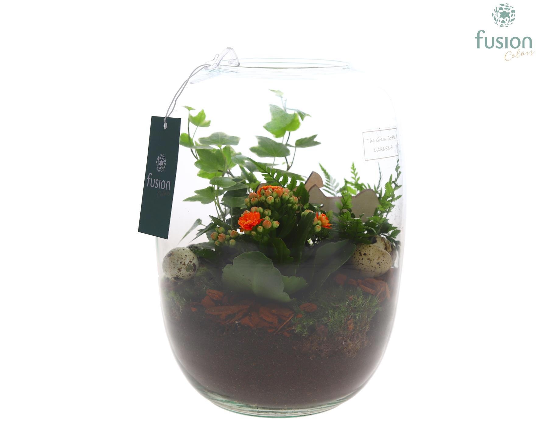 Green Bottle Isabella Large Pasen met arrangement, D 19