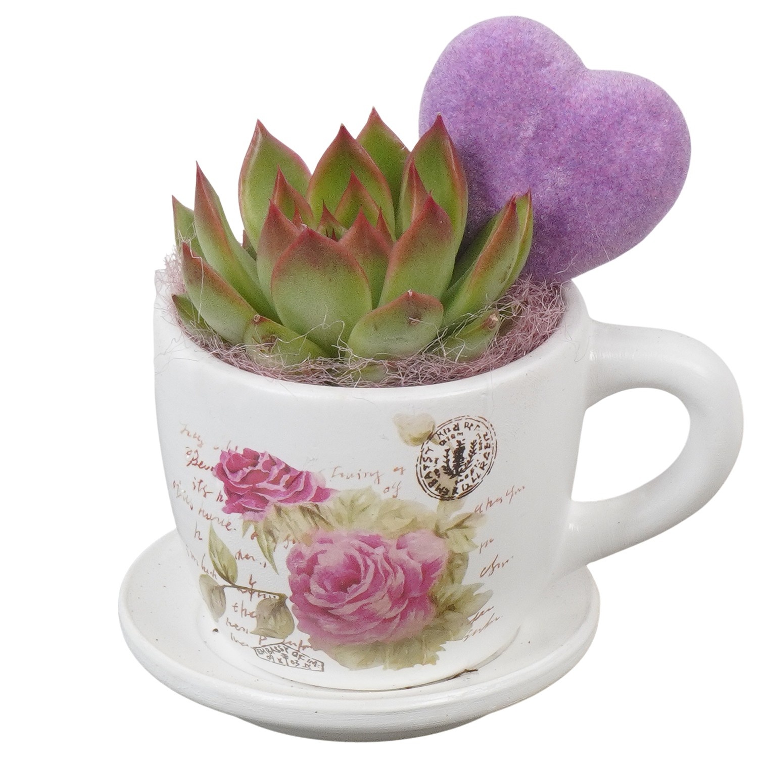 PTVMB2262 Arrangement Valentines-Mothersday in keramiek kop en schotel, D 8