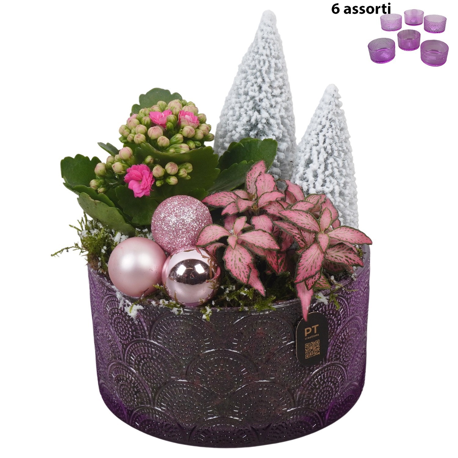 PTCHP8413 Arrangement Christmas Pink in glas schaal, D 15