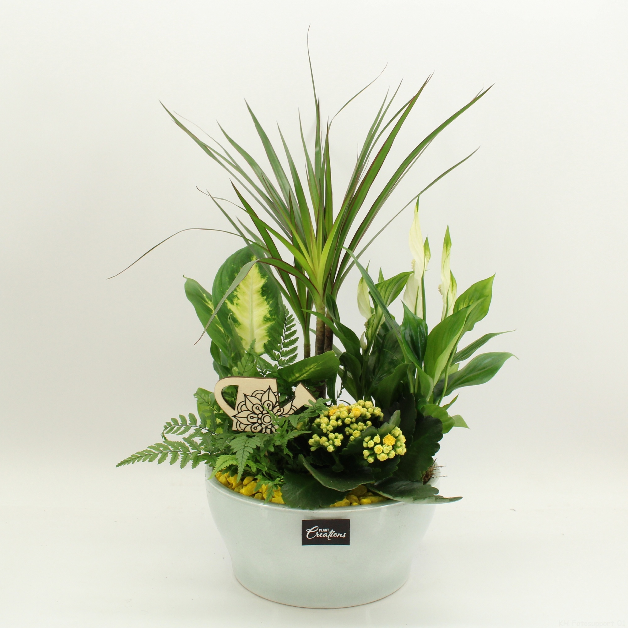 FDCR-2612G Basic Fundamentals, D 22