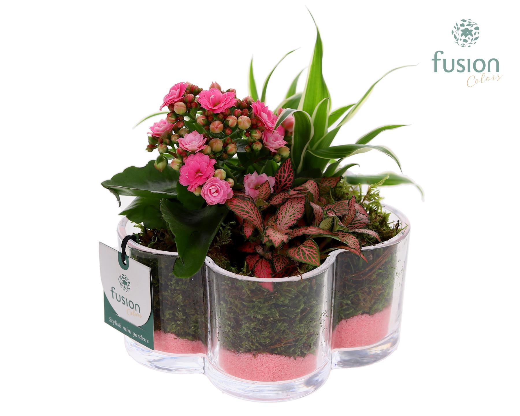 Glazen Bloemschaalmet Arrangement, D 18