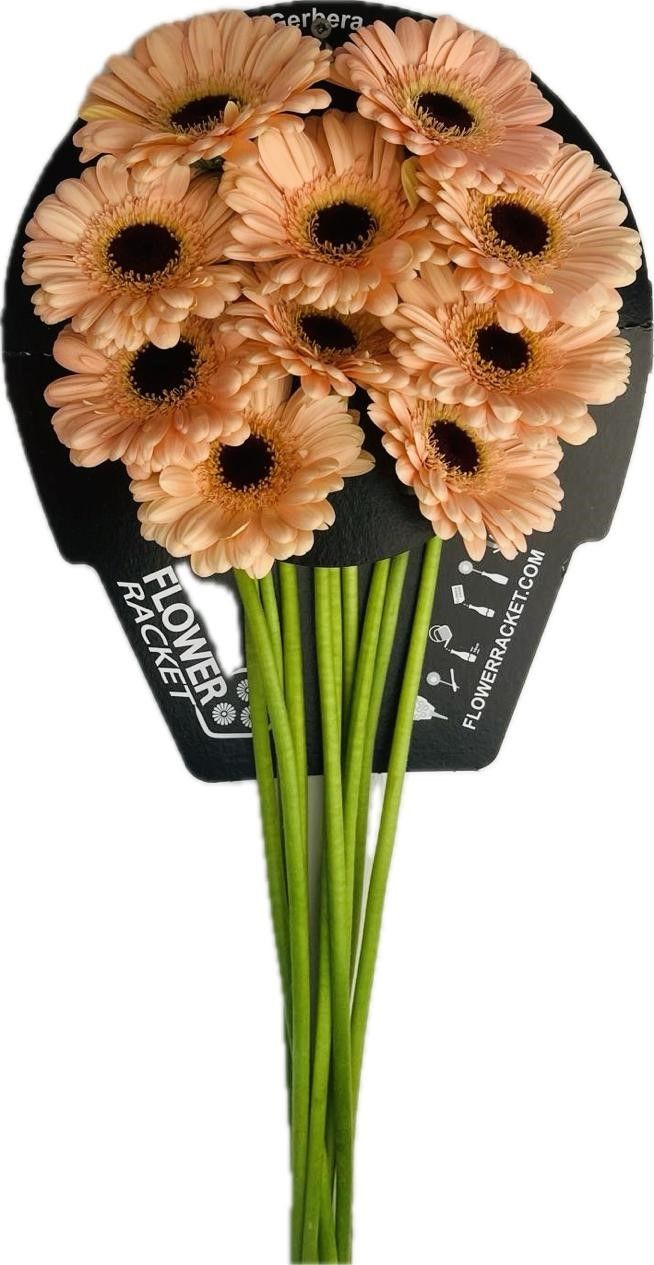 Гермини Эспрессо, шт.