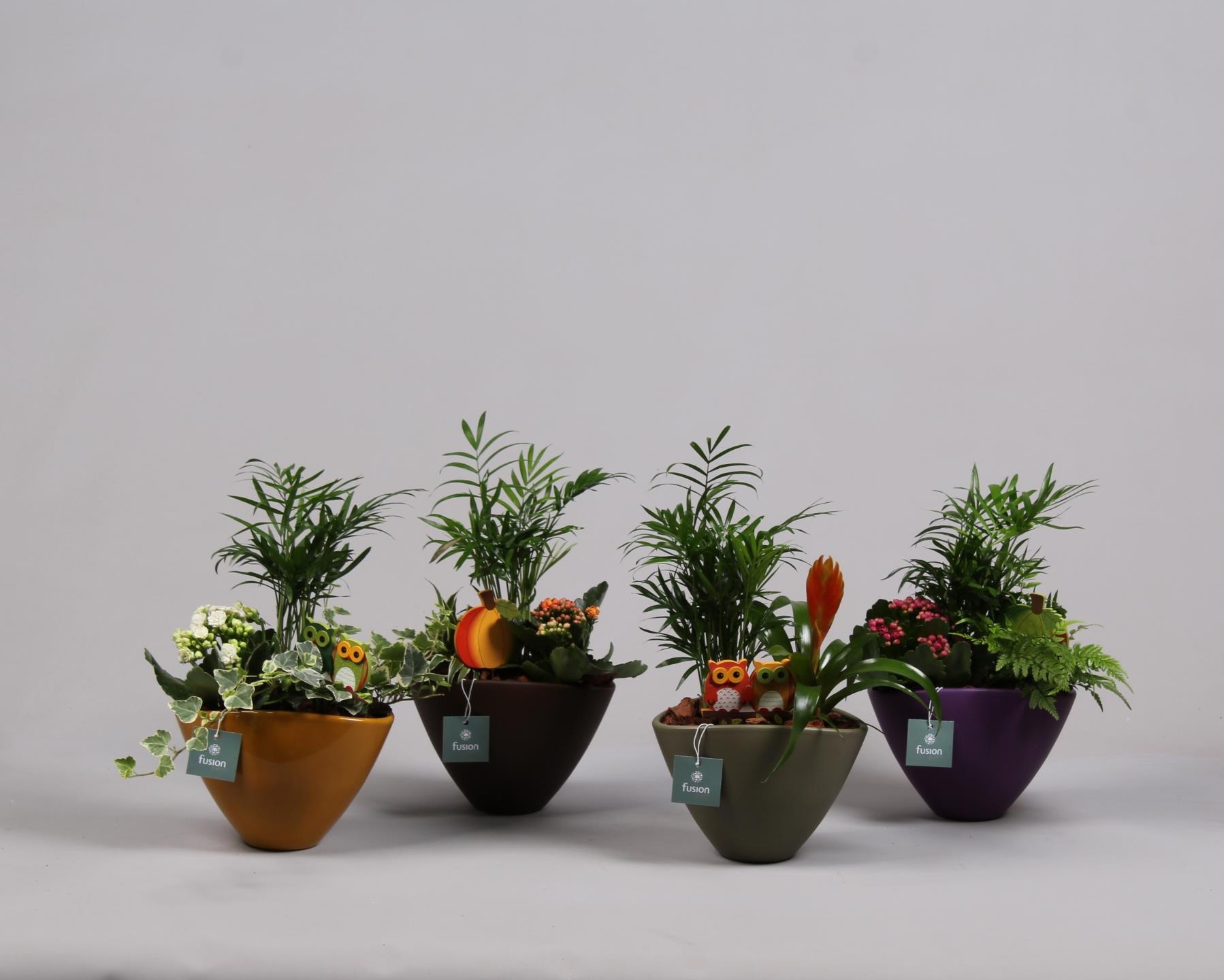 Pot keramiek ovaal 4 kleuren met Arrangement, D 18
