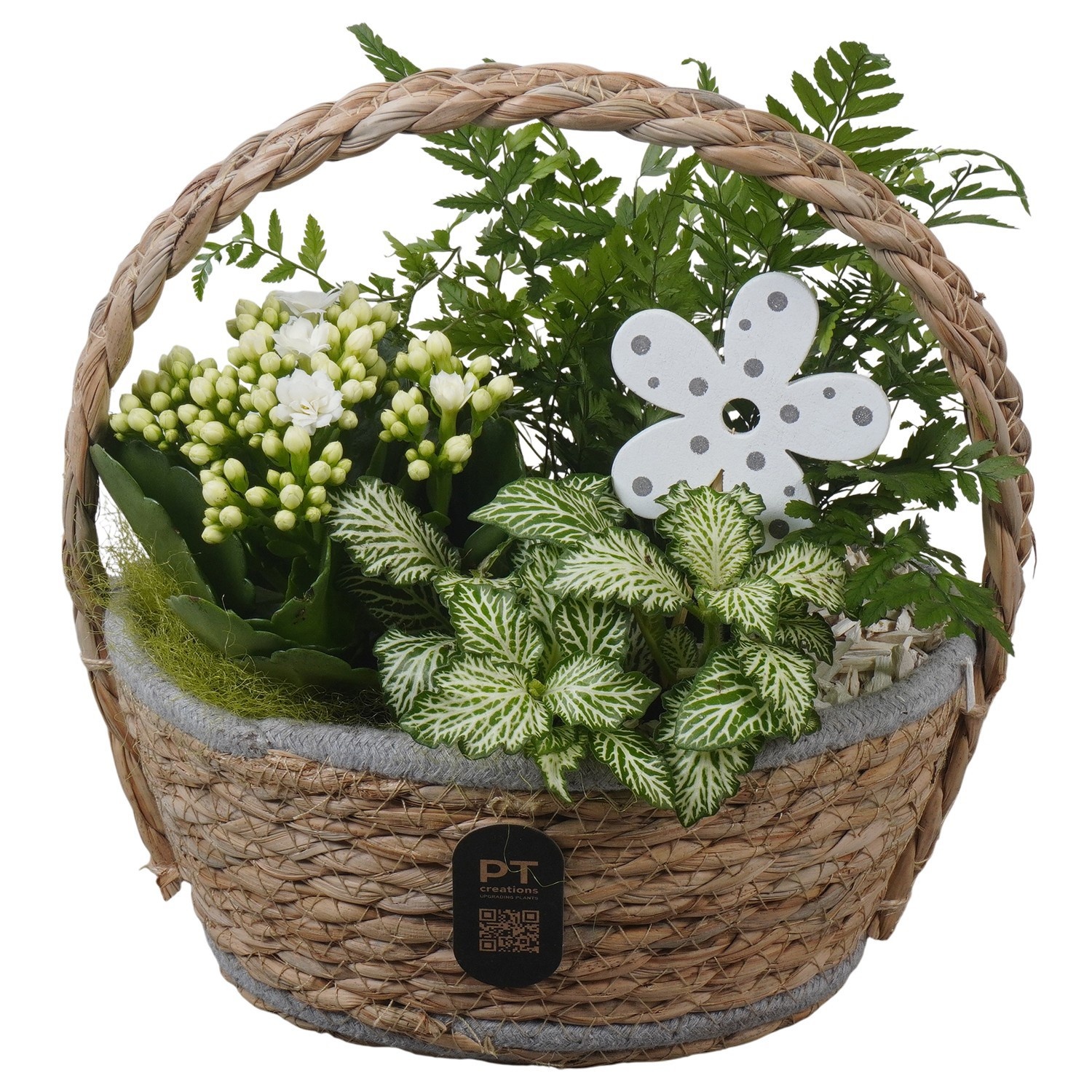 PTIB5250 Arrangement Indoor in rieten hengselmand, D 20