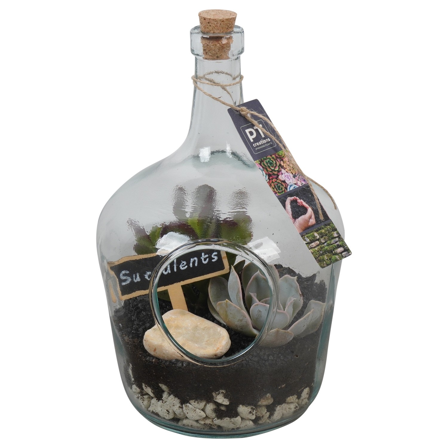 PTSU8510 Arrangement Succulenten in glazen fles, D 16