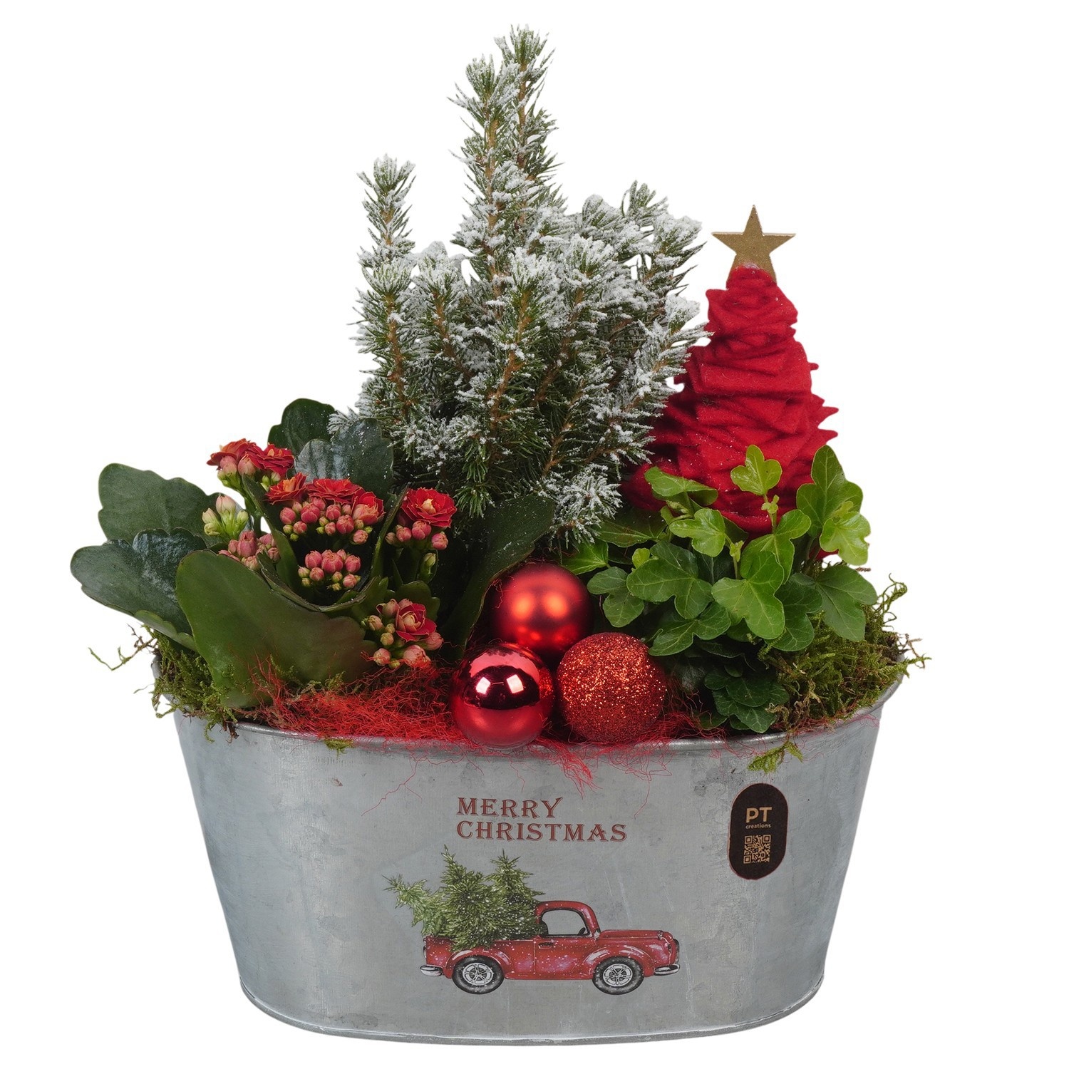PTCHR9592 Arrangement Christmas Red in metalen pot, D 22