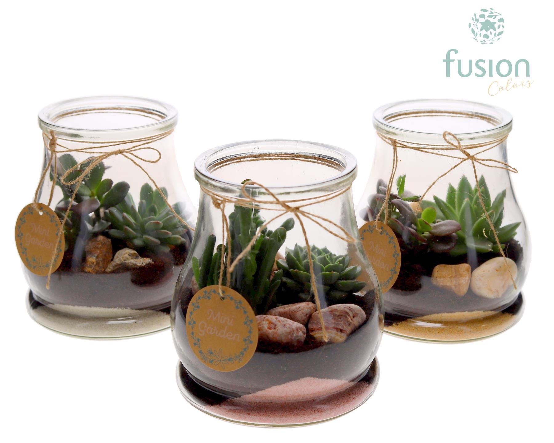 Glas Druppel met Succulenten, D 16