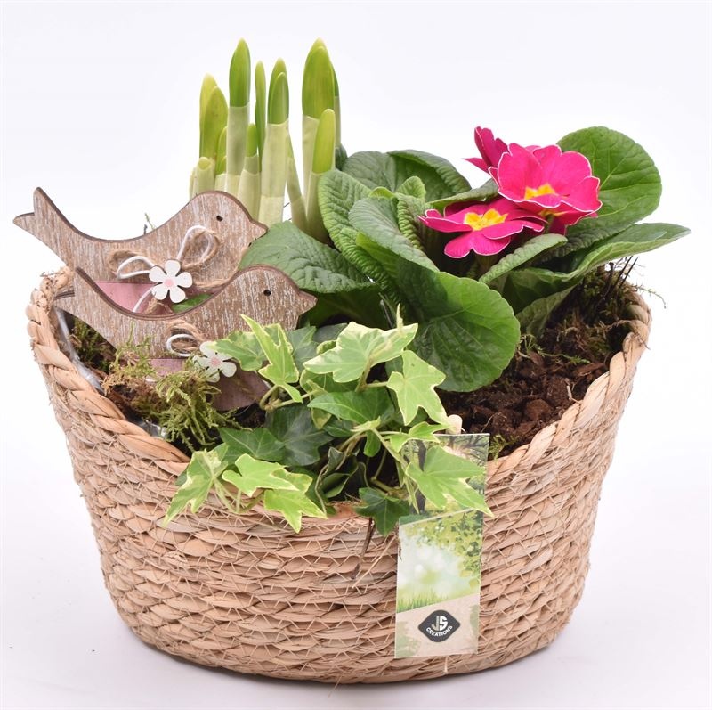 Touwmand ovaal 23x18.5cm, D 21