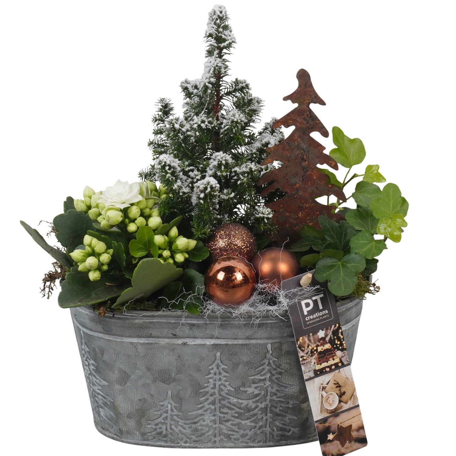 PTCHB9786 Arrangement Christmas Bronze in metalen pot, D 18 cm