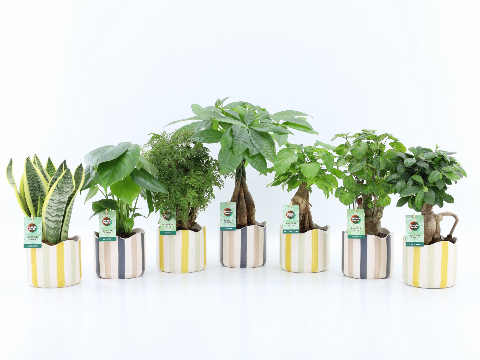 Exotic Green Mix in Nouveau keramiek, D 13