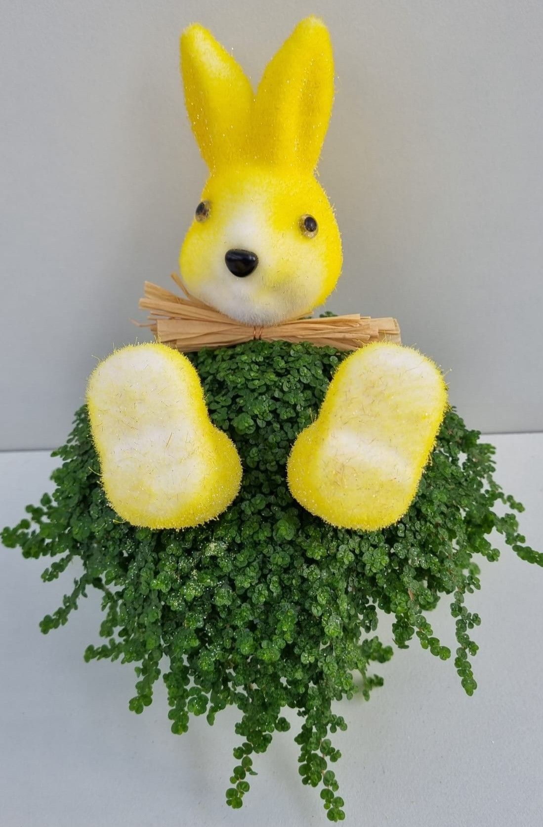 P38 Haas strik geel, D 11