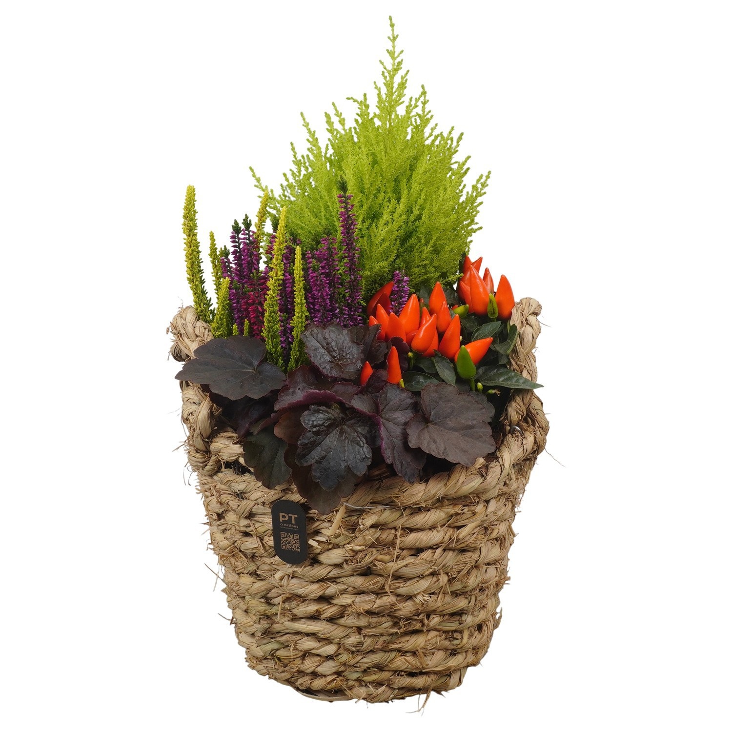 PTHO7527 Arrangement Autumn Outdoor in rieten mand, D 24