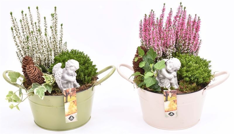 Zink schaal kleur mix 20 cm, D 19