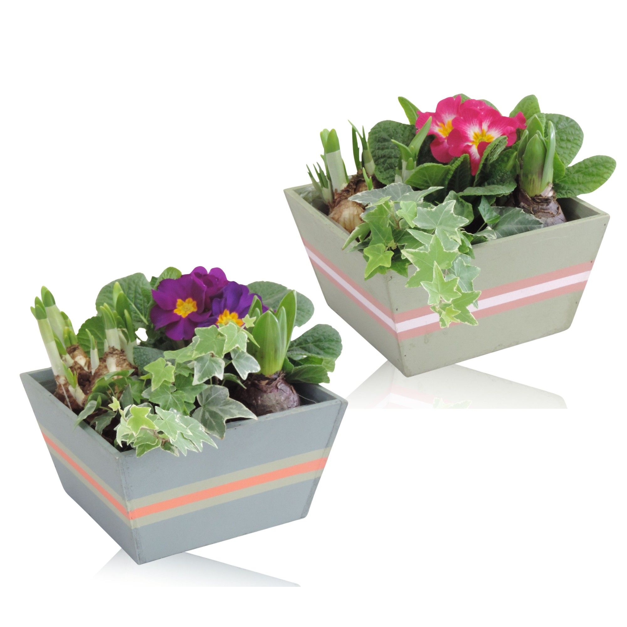 Collectie Jessy Arrangement in Houten bak 18 cm, D 18