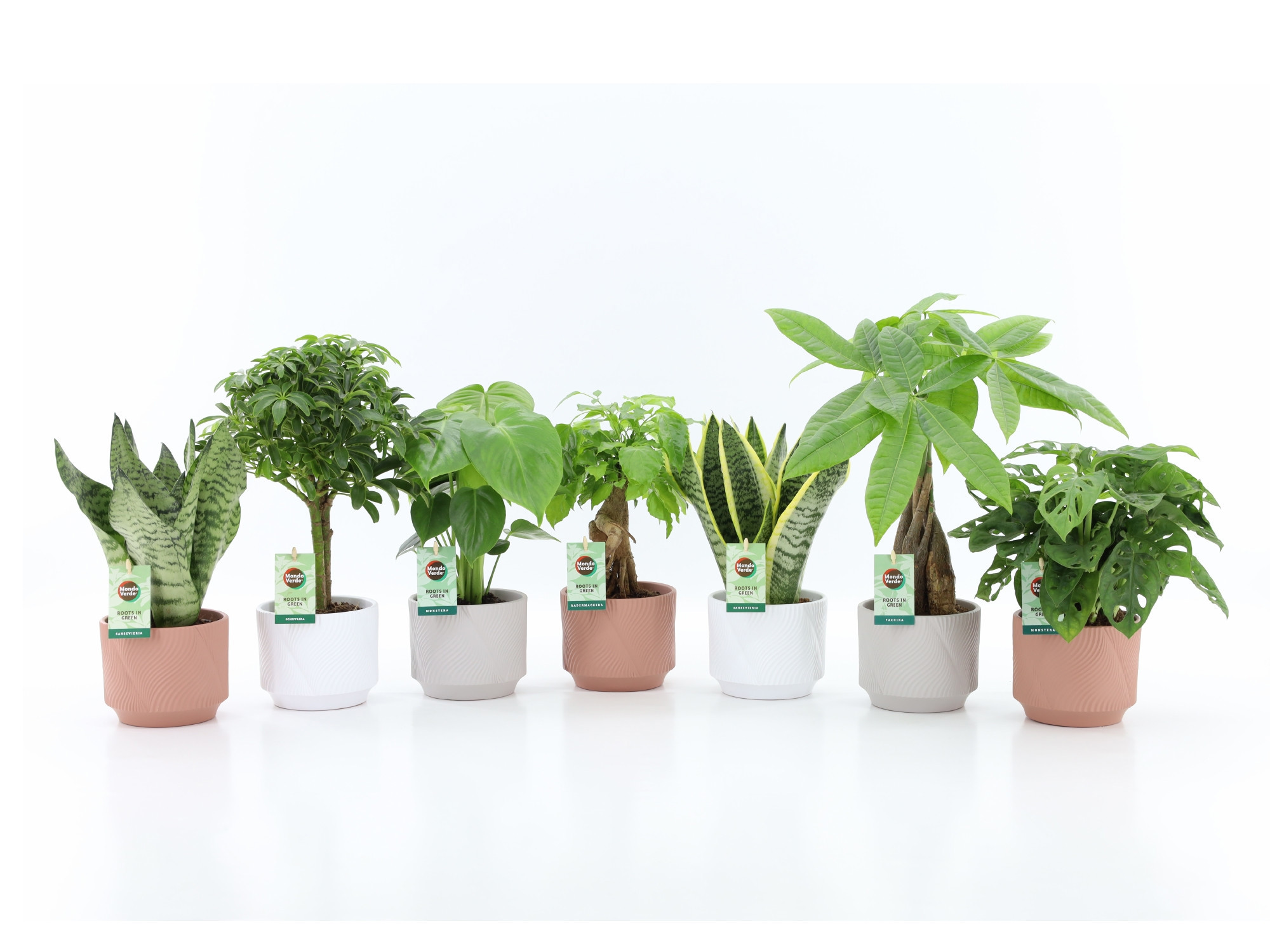 Easy to Care mix in Rodena keramiek, D 13