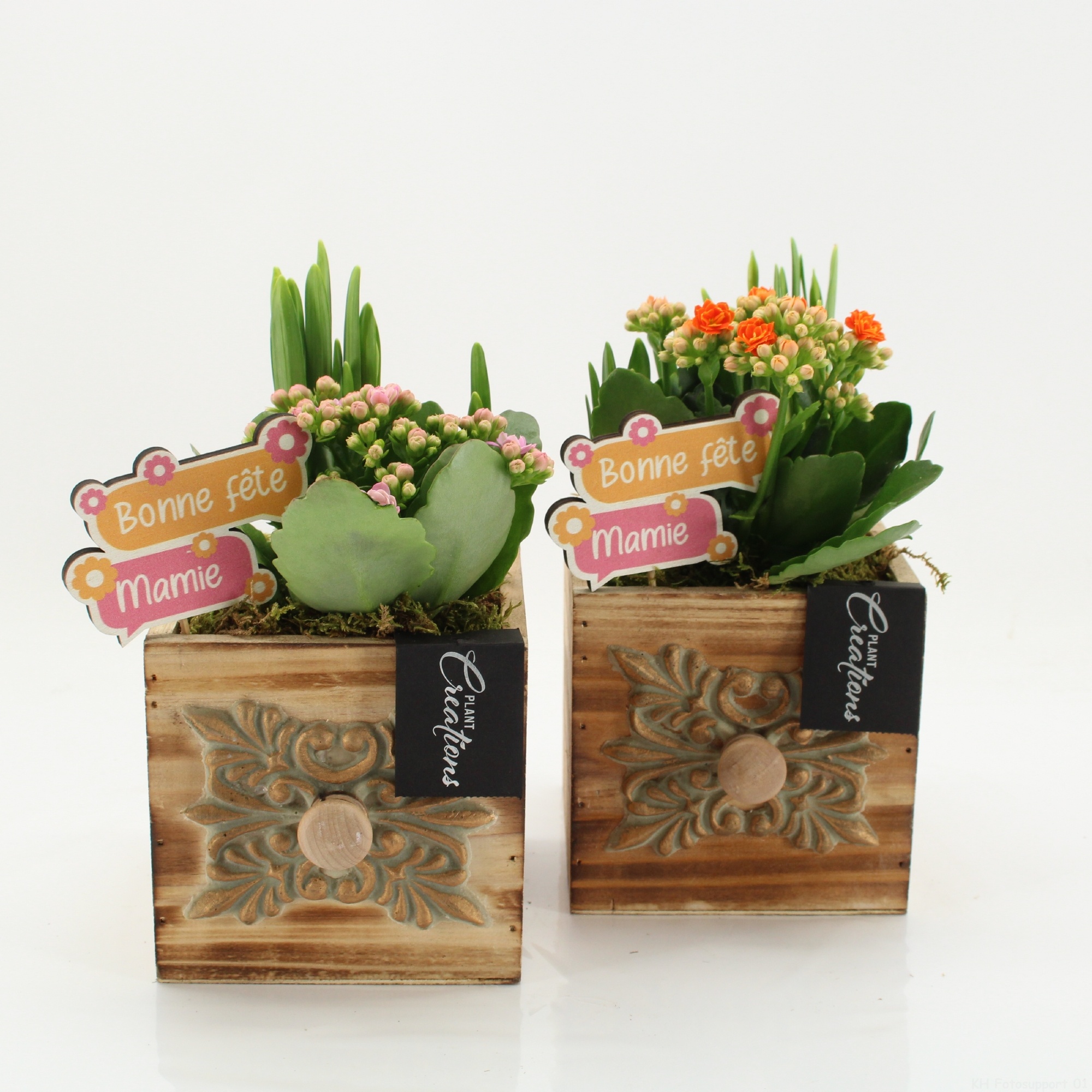 FGCR-2608 Fête des grands-mères, D 12