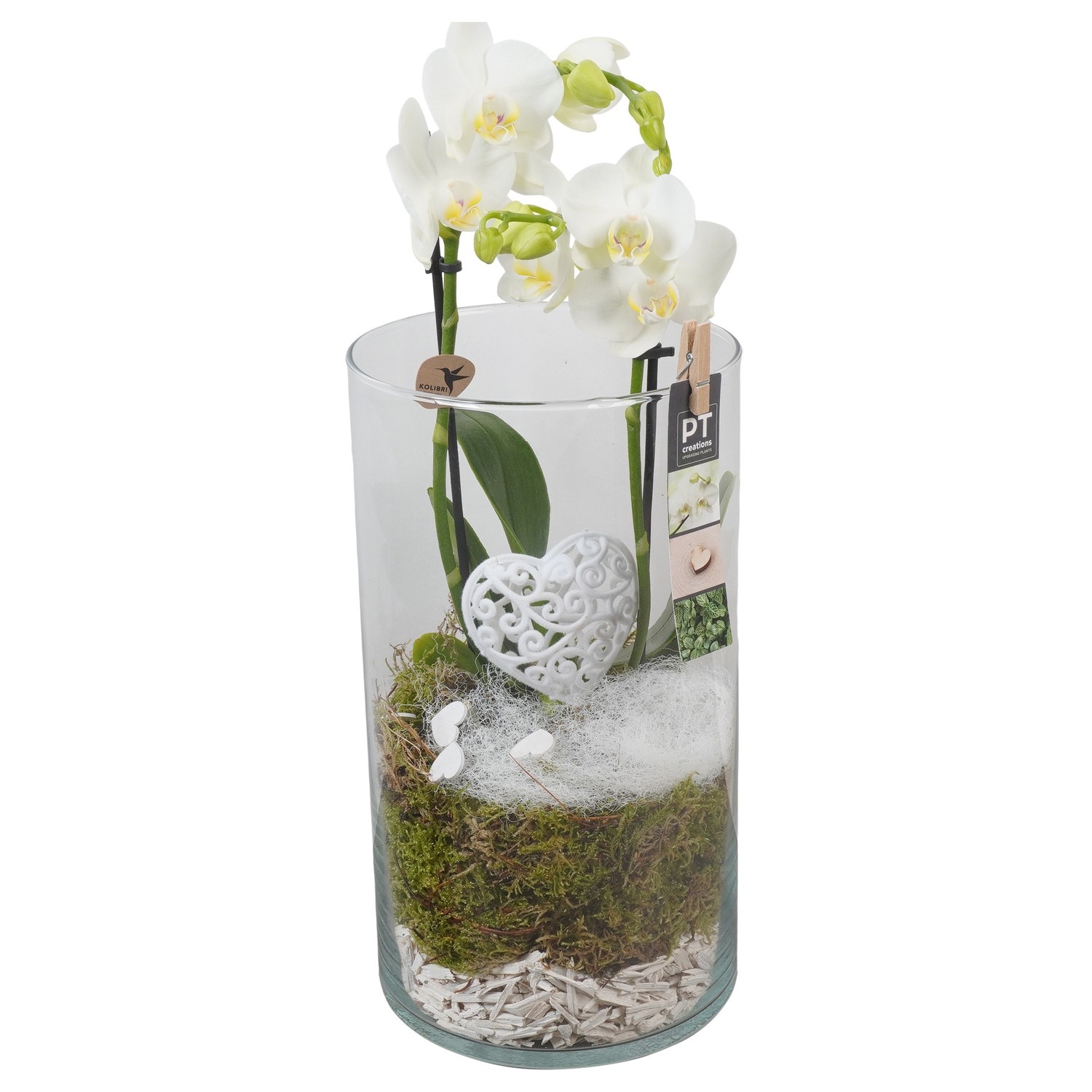 PTVMG4931 Arrangement Valentines-Mothersday in glas vaas, D 16