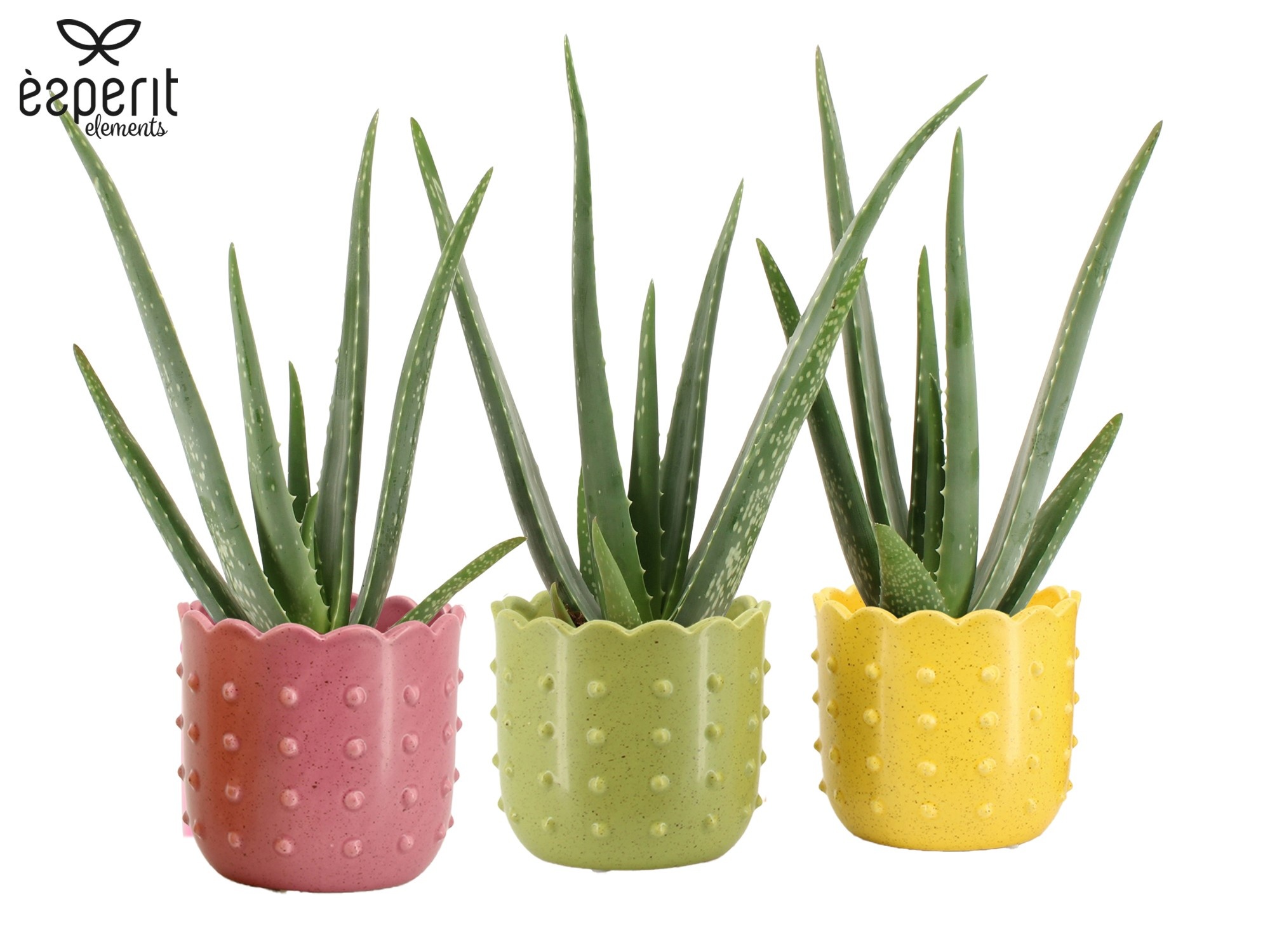 7503549: Solutionss Reinvention, D 10,5