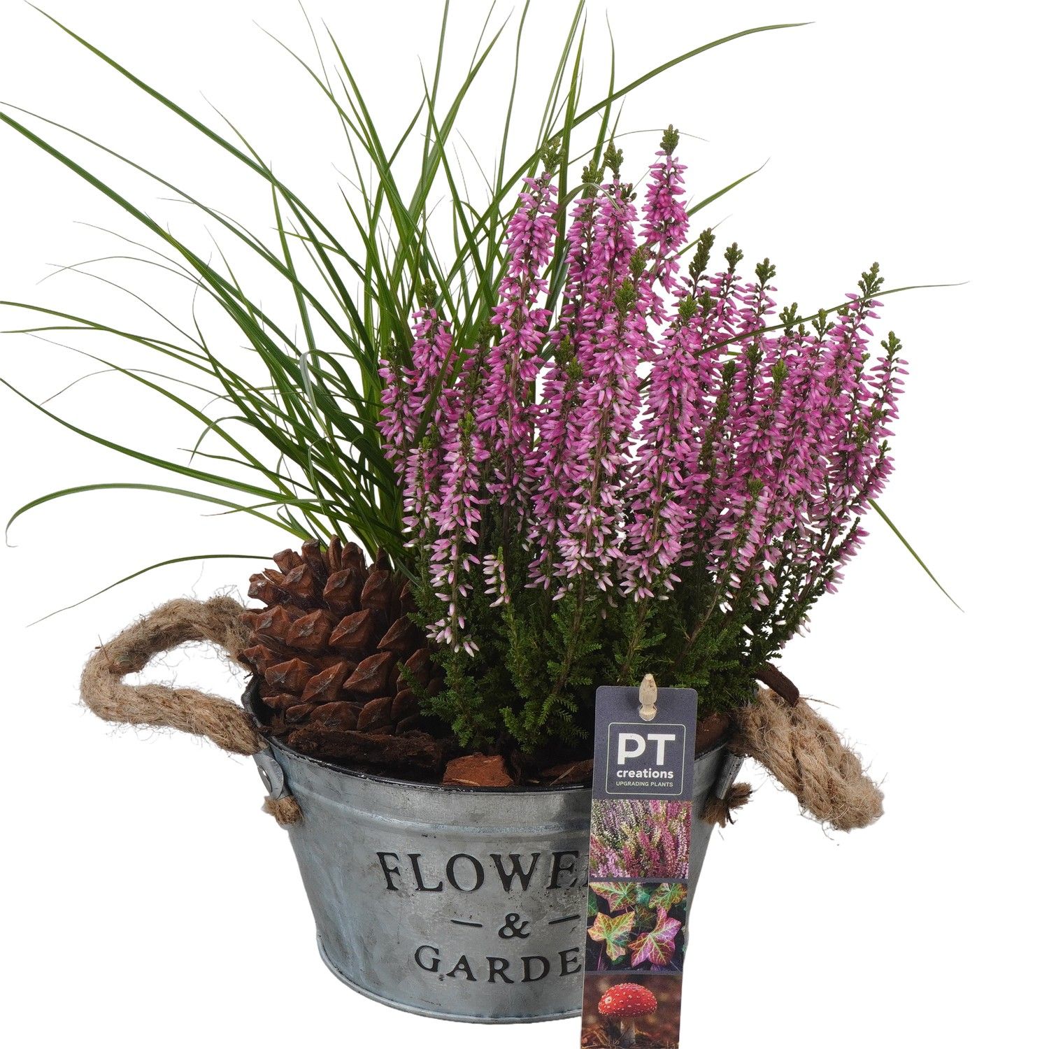 PTHO4066 Arrangement Herfst Outdoor in metalen pot, D 16 cm