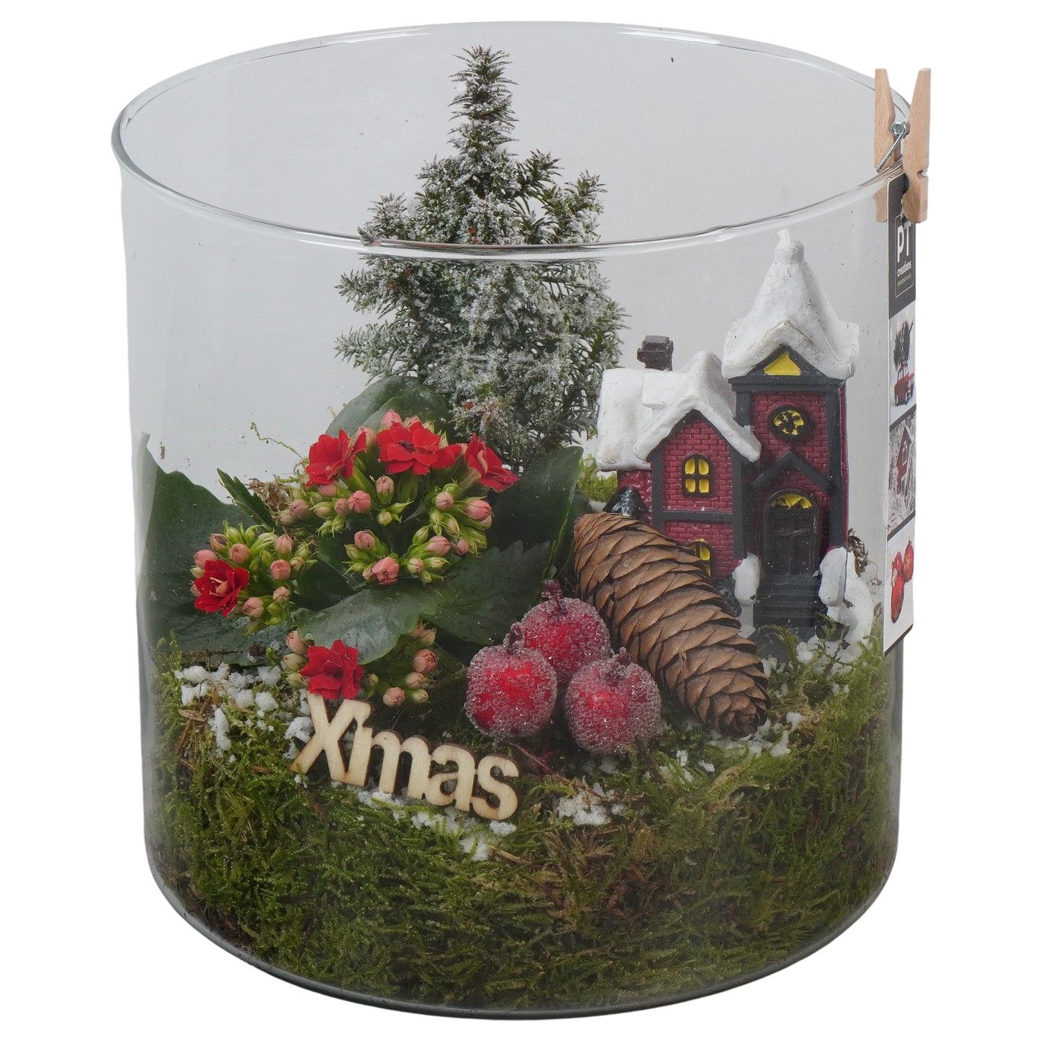 PTCHR7470 Arrangement Christmas Red in glazen pot, D 19 cm