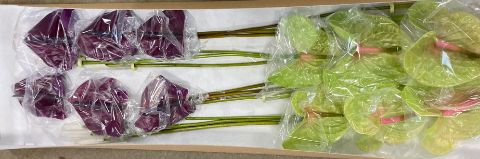 Антуриум Микс x12, шт.