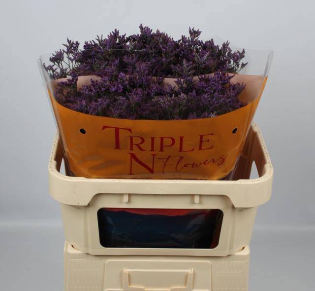 Лимониум Сафора Дарк Блю 70, шт.