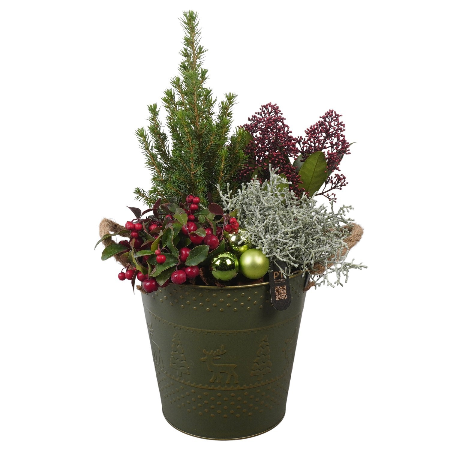 PTCHO5484 Arrangement Christmas Outdoor in metalen pot, D 21