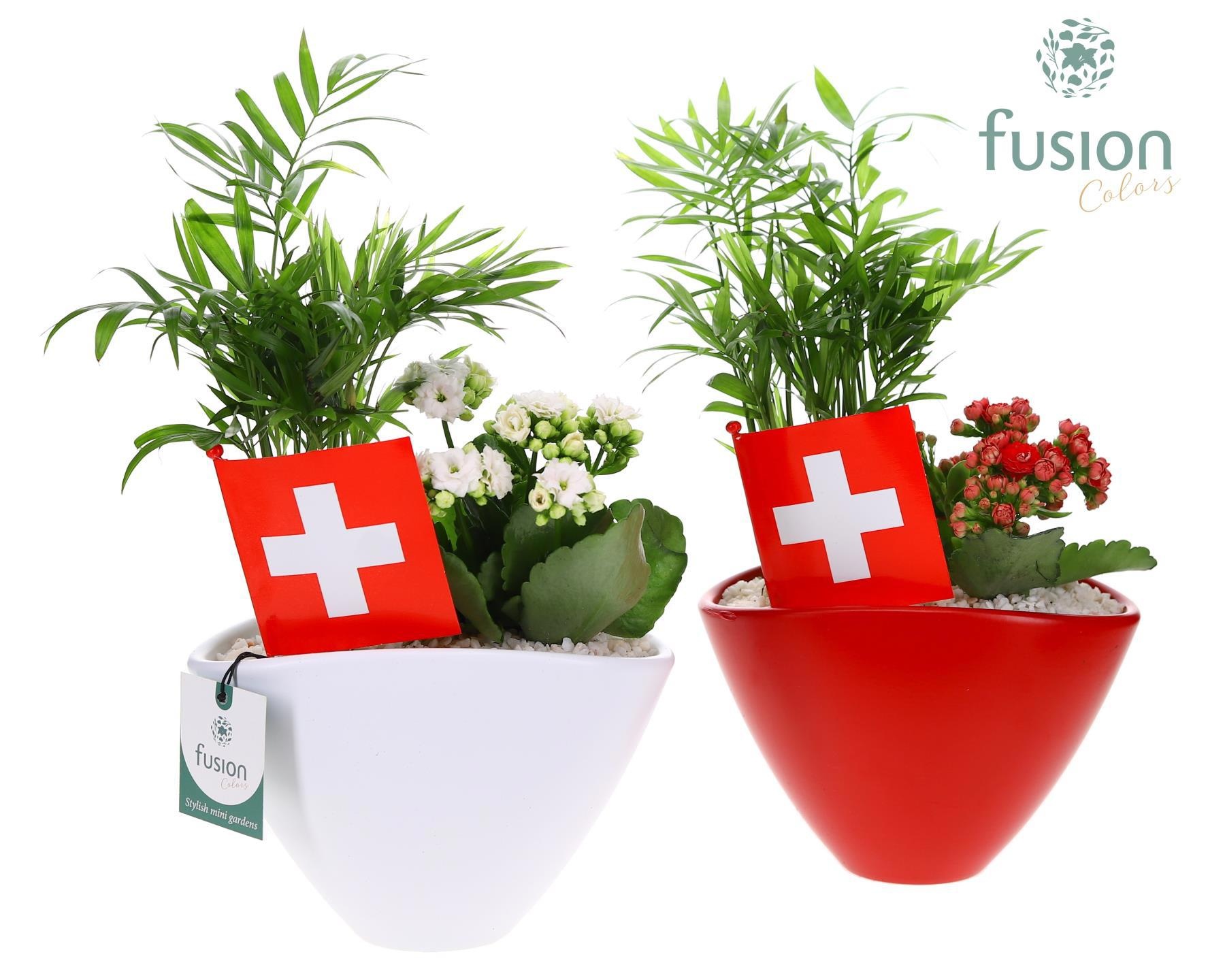 Pot keramiek Oval Small Zwitserland met arrangement, D 19