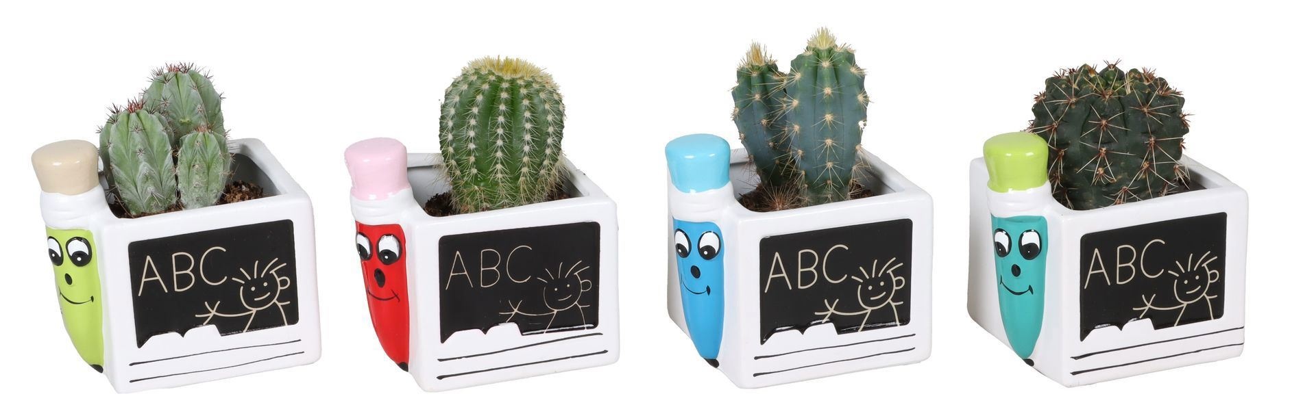 L 67386 With Cactus Mix 6 cm, D 6