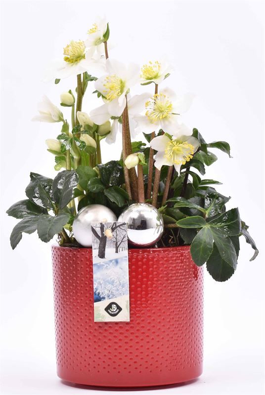 Keramiek pot rood 14cm, D 14 cm