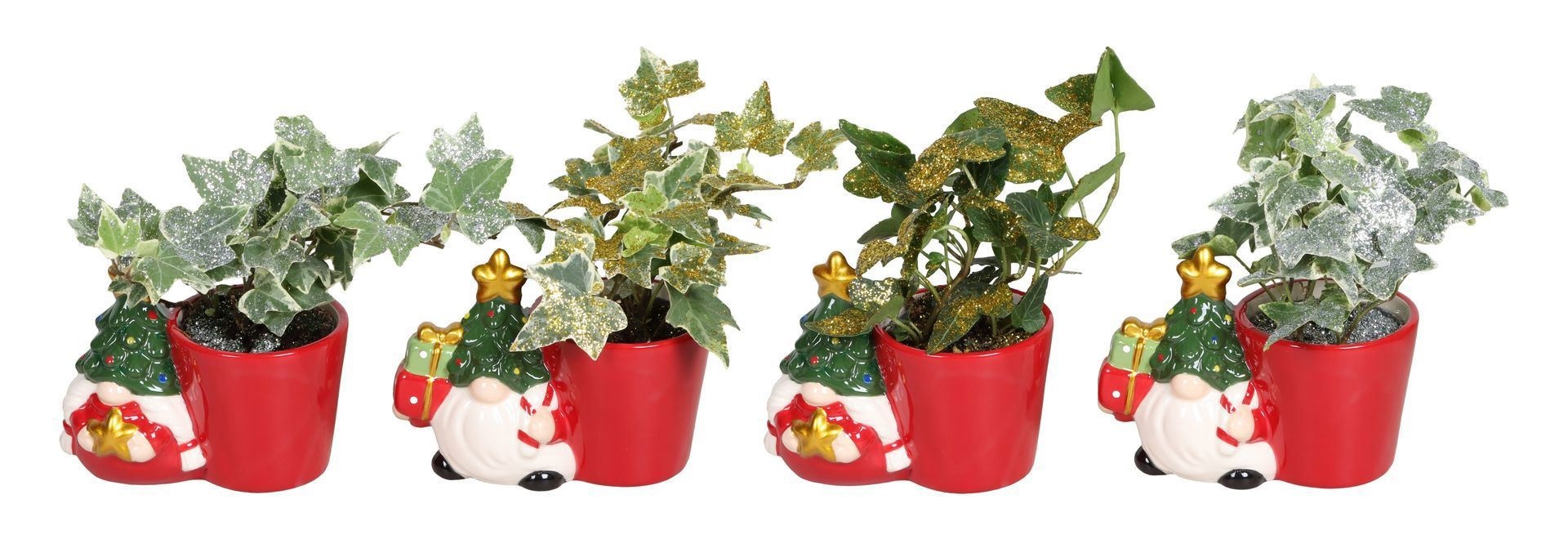 L 67446 With Hedera Helix Mix Glitter 6 cm, D 6 cm