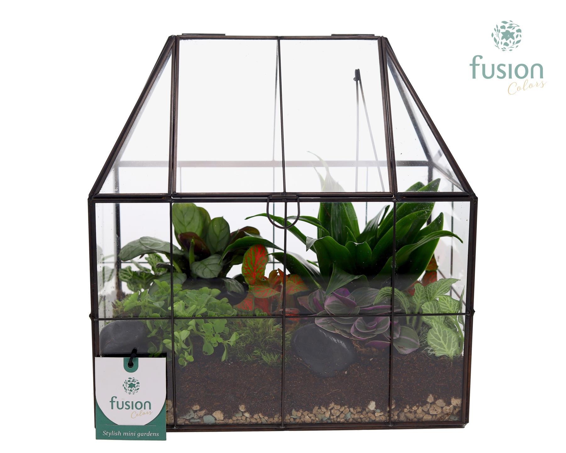Metaal Geometrisch Medium planter met Terrarium arrangemet, D 25