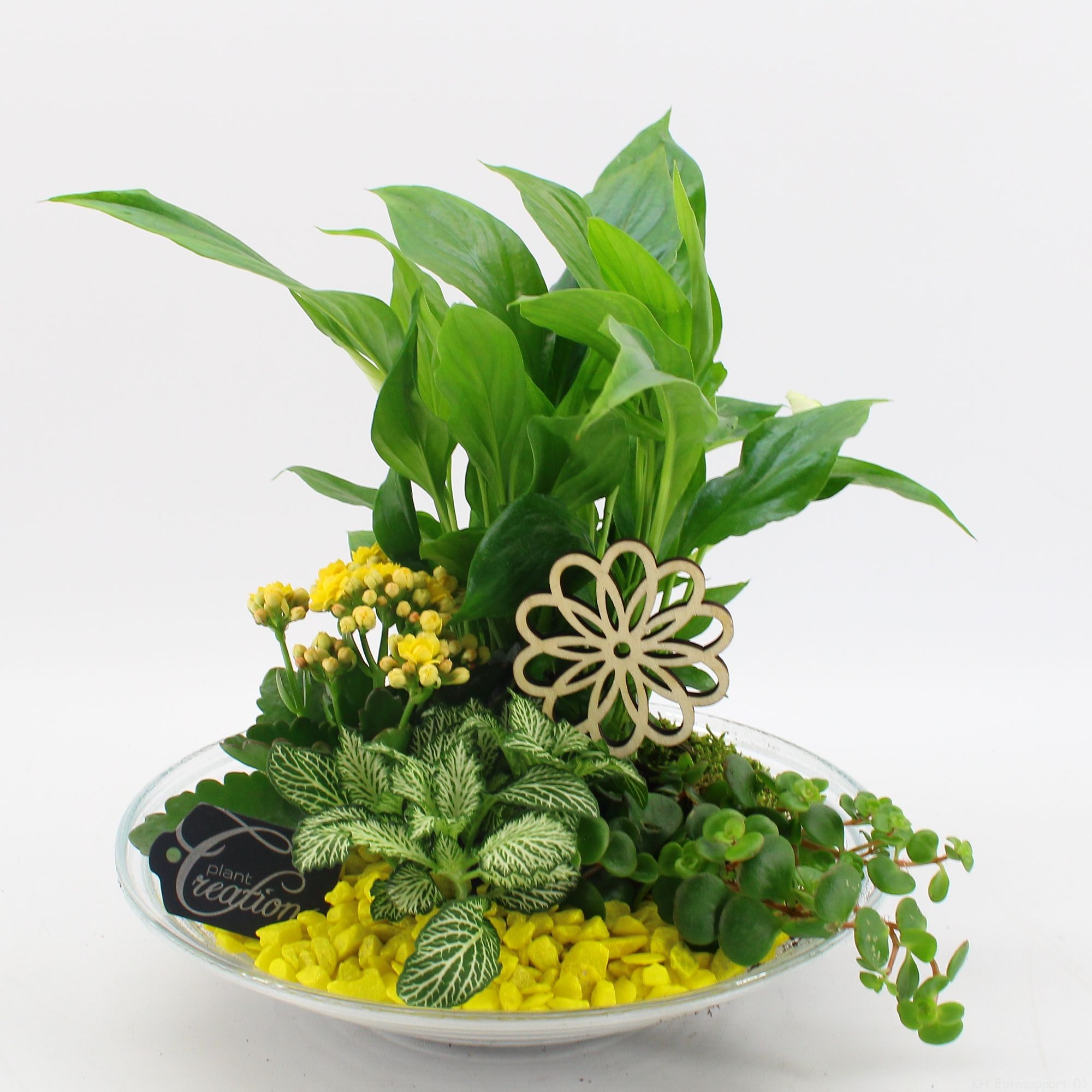 FDCR-2600G Basic fundamentals, D 30