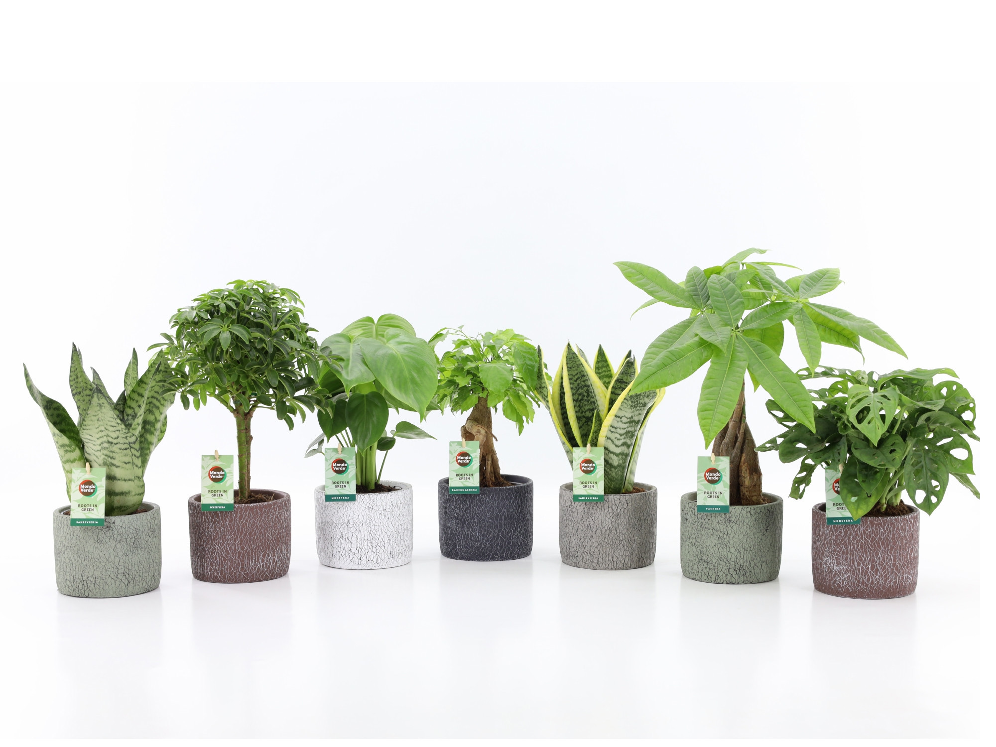 Easy to Care Mix in Classic Stone, D 14