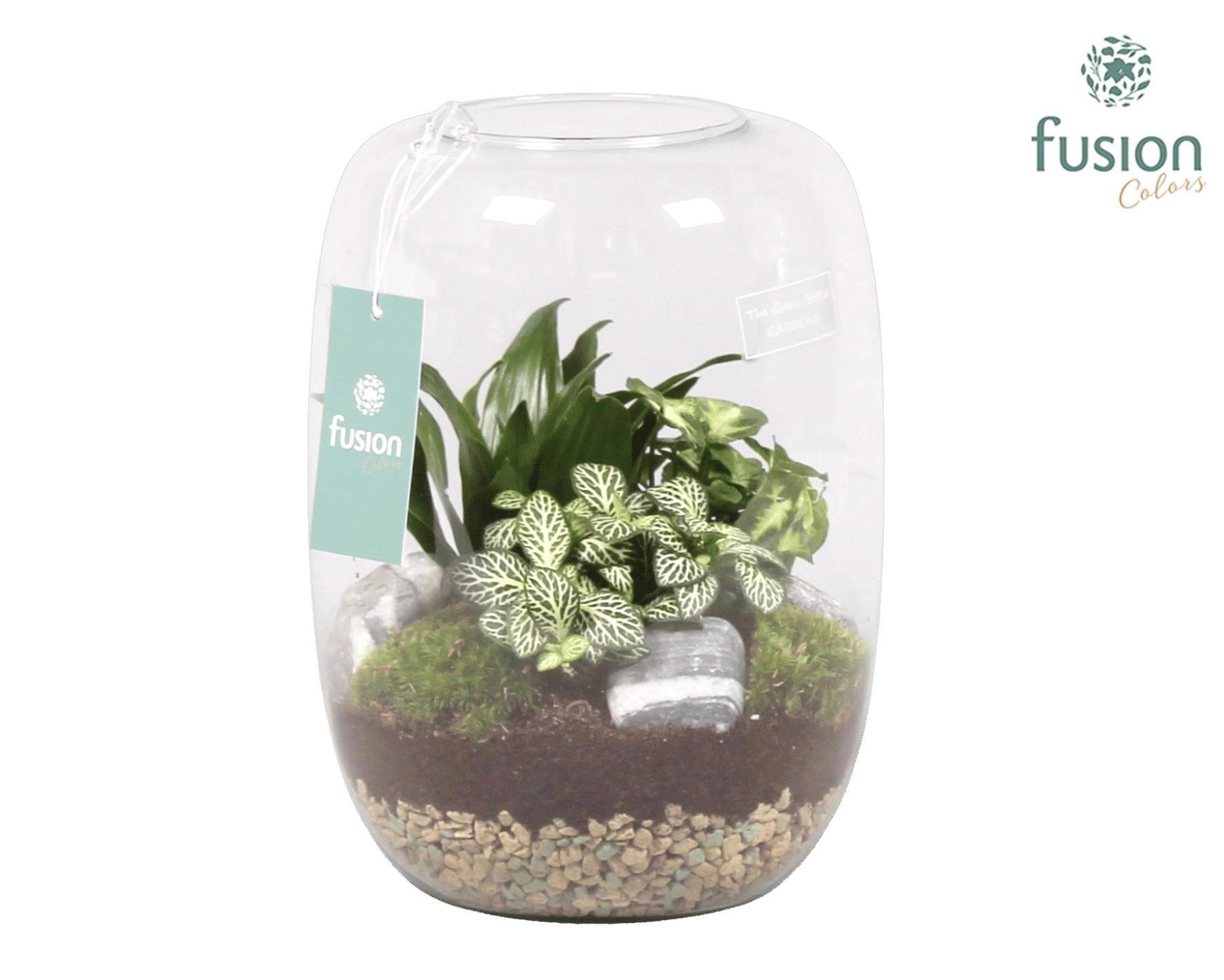 Green Bottle Isabella Large met Groene Planten Arrangement, D 19