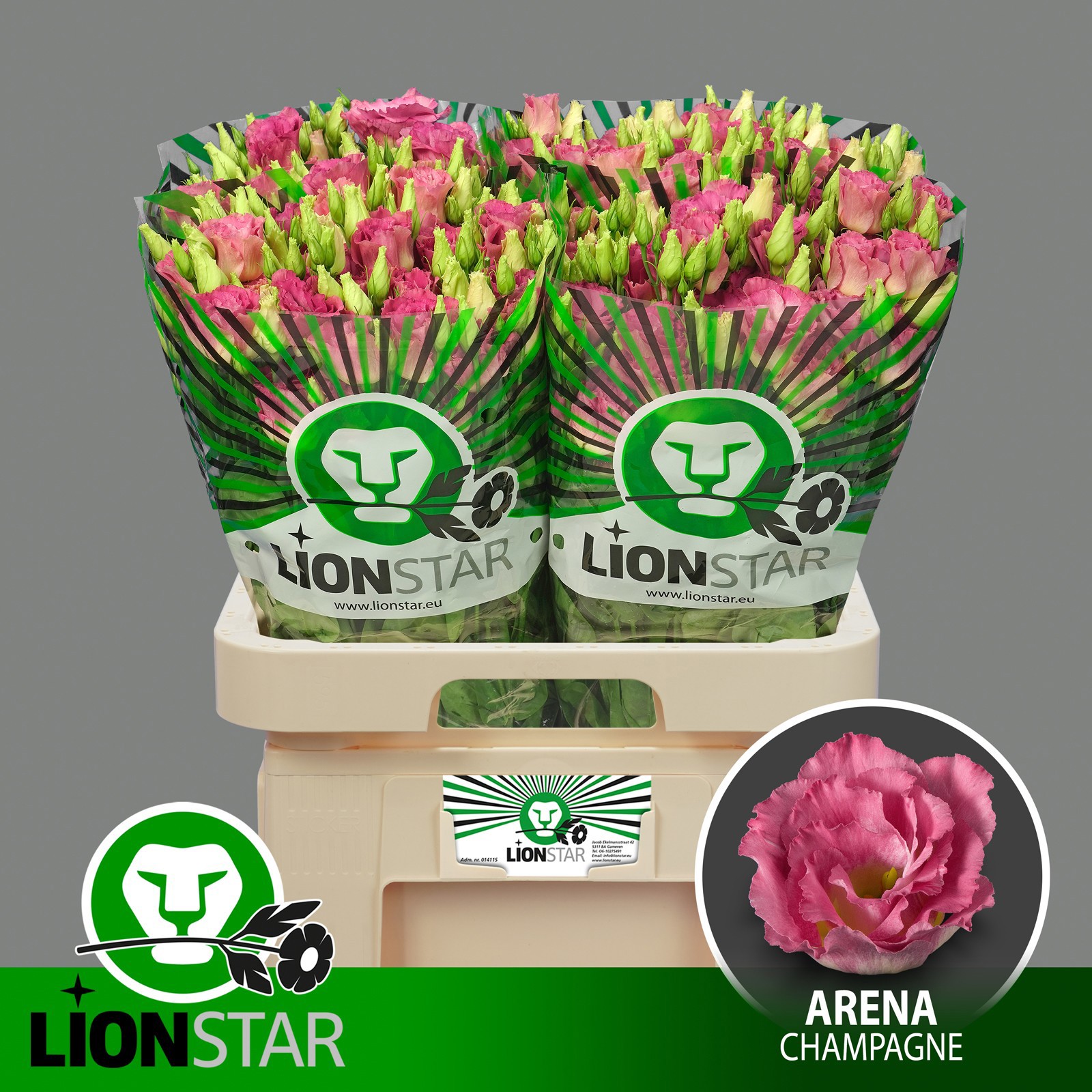 Эустома Арена Шампань 70 (сальм.), шт.