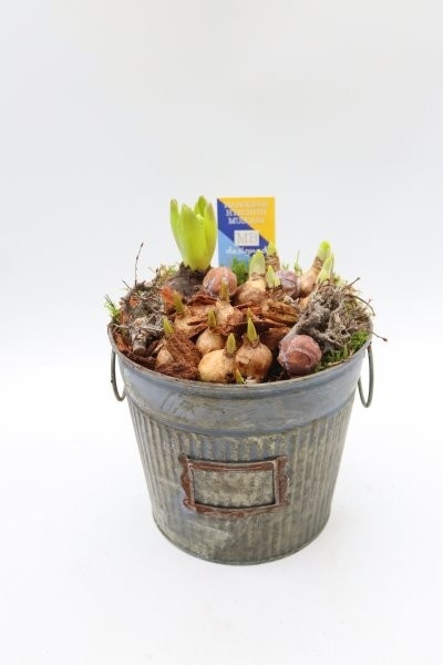 Bollen, zinken pot hoog M, D 18