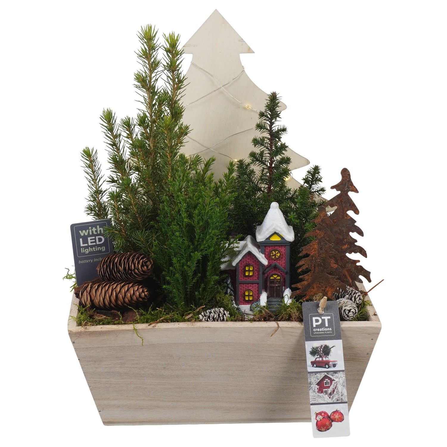 PTCWW6870 Arrangement Winter in houten bak, D 23 cm